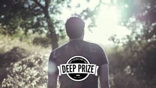 Ferdinand Weber x Shoffy - Lonely Up Here