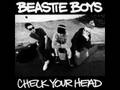 Beastie Boys - Professor Booty 