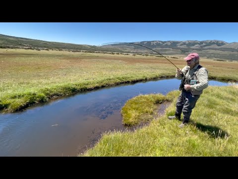 Fly Fishing in Patagonia: Spring Creek Brown Trout Non-Stop Action