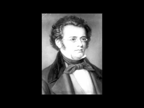 Franz Schubert - Petite Musique Funèbre, Grave Con Espressione [Eine Kleine Trauermusik D.79]