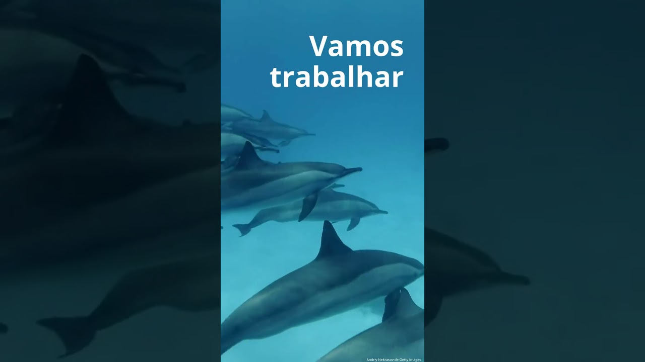 Feliz Dia Mundial do Meio Ambiente