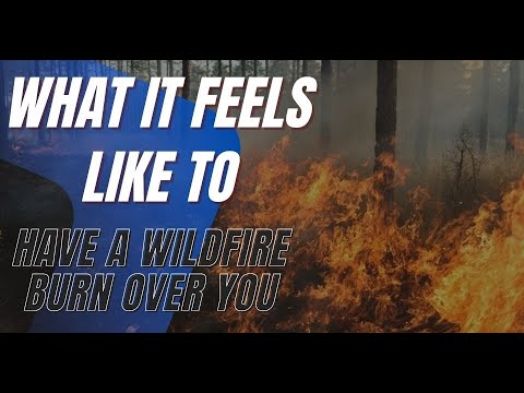 What It Feels Like to Have a Wildfire Burn Over You, Straight from a Firefighter