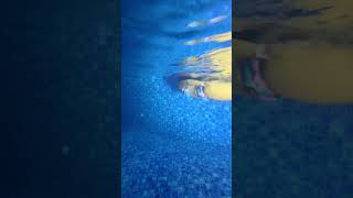 Download lagu TikTok Travel Transition Idea mp3