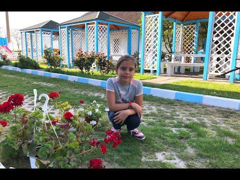 Vă invit la Casa Pescarilor din Lunca, Delta Dunării - Diana Maria Boioglu - vlog 072