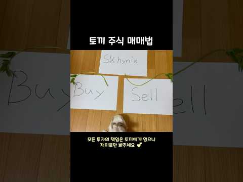 토끼 집사들만 가능한 워런래빗의 매매법