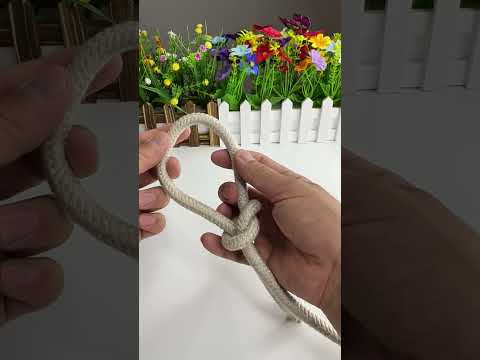 🐾 Knot Your Ordinary Leash! Learn about the Pawsome Pet Rope Trick 🐕🐾