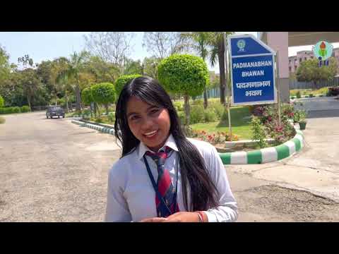 Jaypee University Anoopshahr Placement Highlights | JU Placement