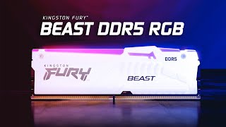 Kingston FURY 64 GB (2x32GB) DDR5 5600 MHz Beast RGB EXPO White (KF556C36BWEAK2-64) - відео 1