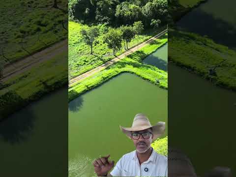 R$3.200.000,00 chácara 3,8 Alqueires (18,500 Hectares) Guapó-GO 📲62984033151 César Oliveira
