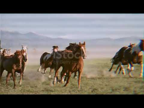 SICKOTOY feat Eva Timush Too Deep. ( Azerbaijan)