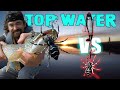 Video Thumbnail for Basics To Fishing Top Water Lures EVERY Angler Needs To Know!