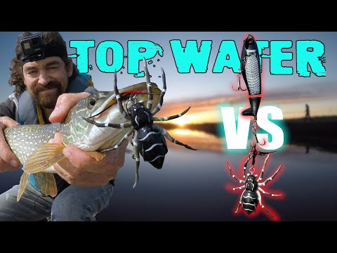 Basics To Fishing Top Water Lures EVERY Angler Needs To Know!