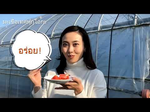 Tomates de la prefectura de Fukuoka (30 segundos)