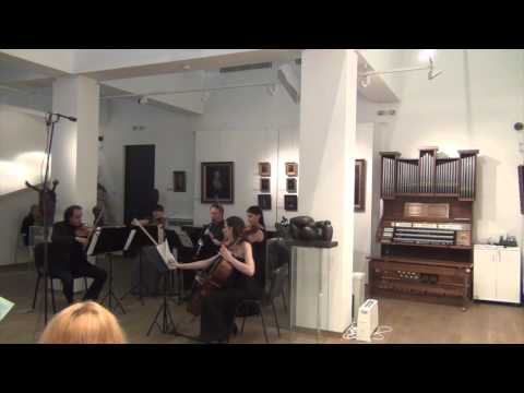 Clarinet Quintet in A major for Clarinet and Strings - Allegro - 1st Movement
