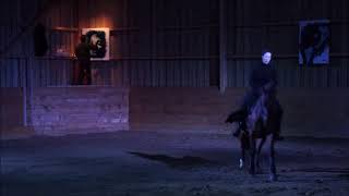 Mille chevaux d'écume 29 sept 2017-L'île aux mimosas