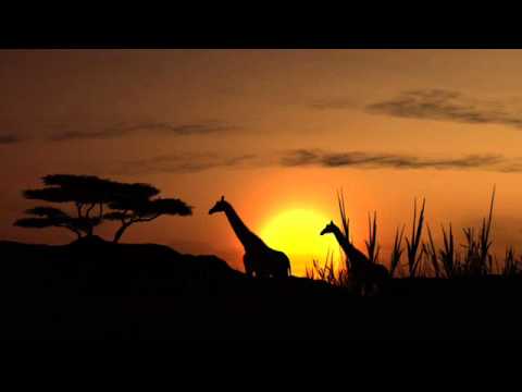Psh Project - African Skies