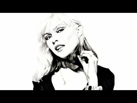 Eminem ft Blondie (Stan/Rapture) DJ Larry Bird Remix