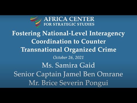 Fostering National-Level Interagency Coordination to Counter Transnational Organized Crime
