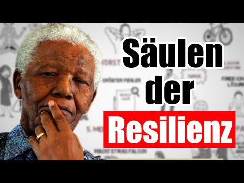 The 7 Pillars of Resilience (for Iron Inner Strength)