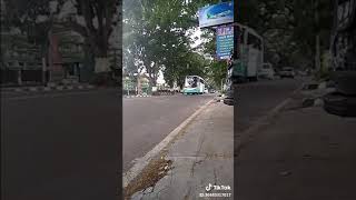 Download lagu Bus Shantika Jepara-Bandung Biru v mp3 Download lagu Bus Shantika Jepara-Bandung Biru v mp3