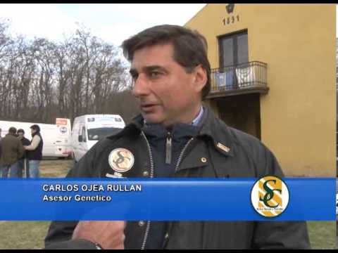 CARLOS OJEA RULLAN - Los Murmullos - 03/08/2013