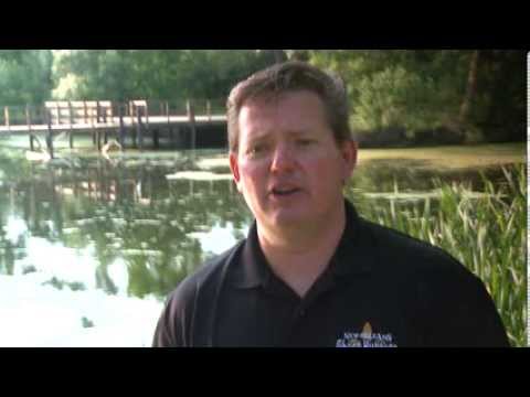 The Rougarou: Louisiana Swamp Monster