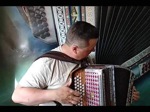 LANZINGER B Es As- PLAZNIK STIMA