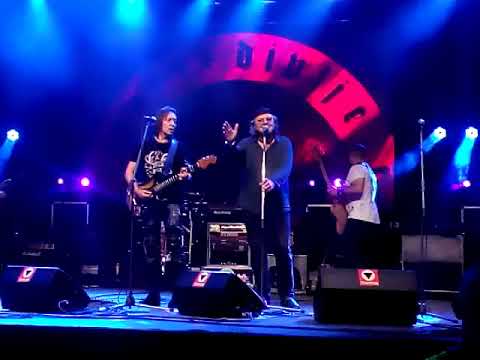 Divlje jagode ft. Toni Janković - Patkica