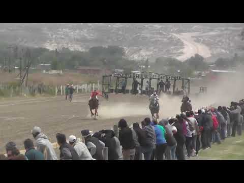 VILLA REGINA 6° MERCENARIA 24- 10- 21