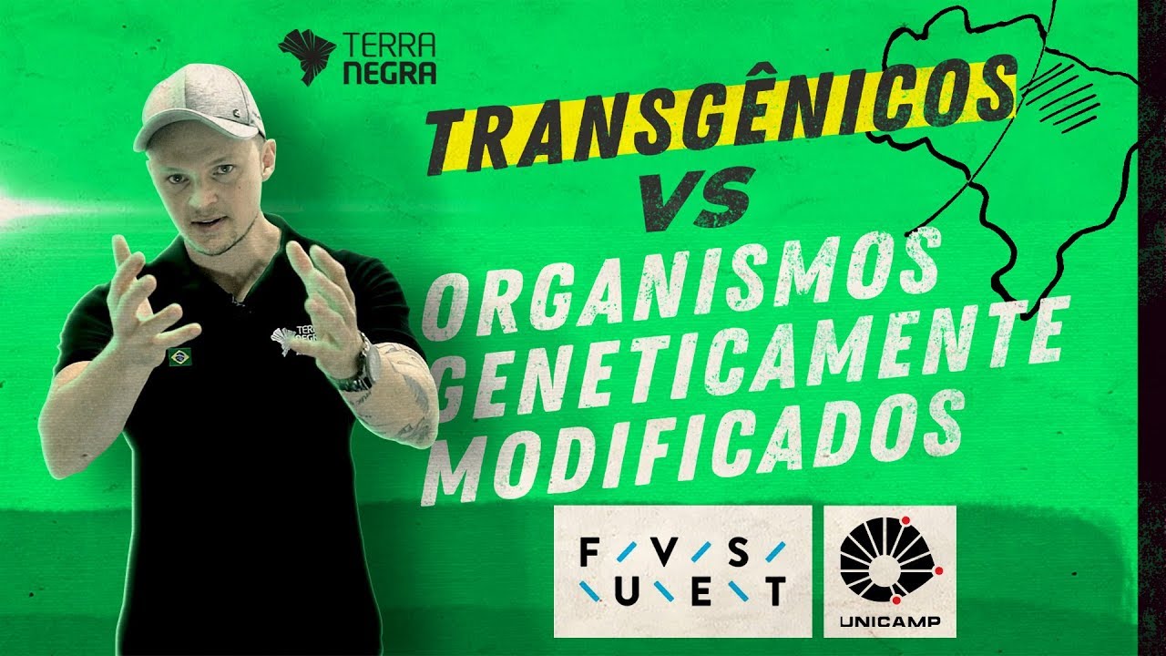 TRANSGÊNICOS vs OMGs - FUVEST / UNICAMP [#04] | Terra Negra