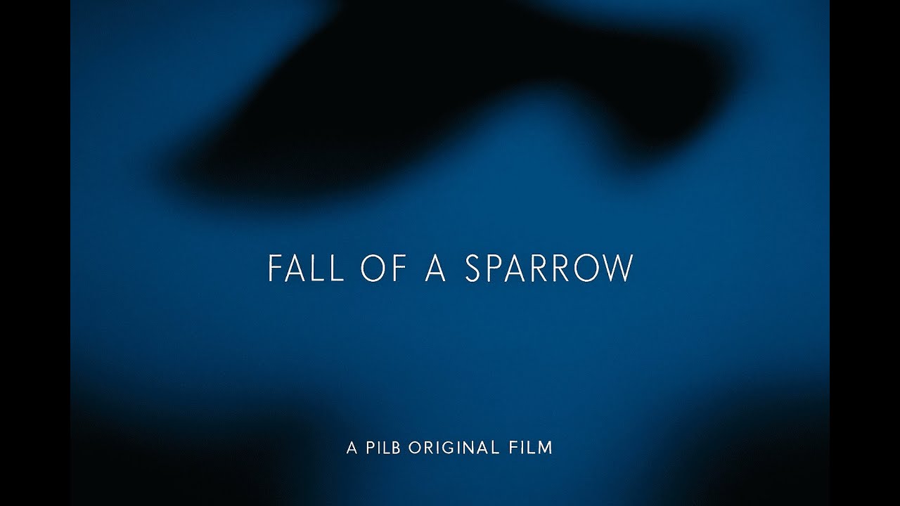 Fall of a Sparrow | PILB Short Film (2025)