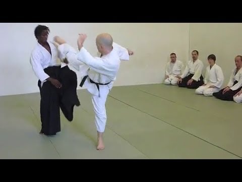 Aikido Cyril Lagrasta - 5th Dan Aikikai (Dublin, April 2010)