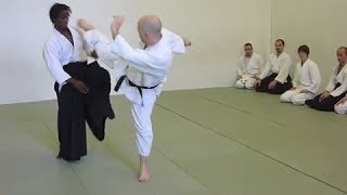 preview picture of video 'Aikido Cyril Lagrasta - 5th Dan Aikikai (Dublin, April 2010)'