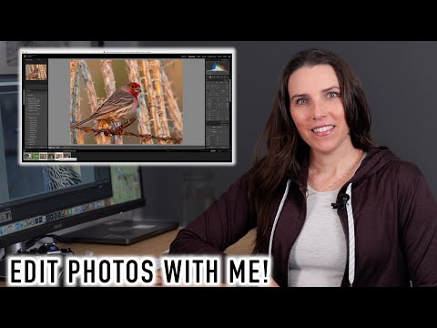 Editing Wildlife Images - OM SYSTEM, DxO PureRAW, Lightroom - Noise Reduction, Simple Edits & More