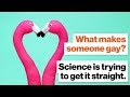 What makes someone gay? Science is trying to get it straight. | Alice Dreger | Big Think