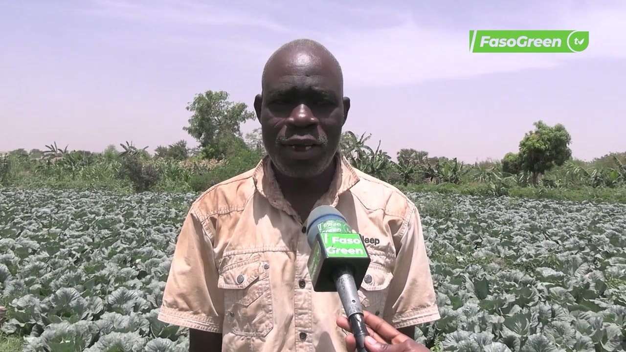 Déguerpissement des maraîchers de Ouaga 2000 : Les concernés souhaitent un délai supplémentaire