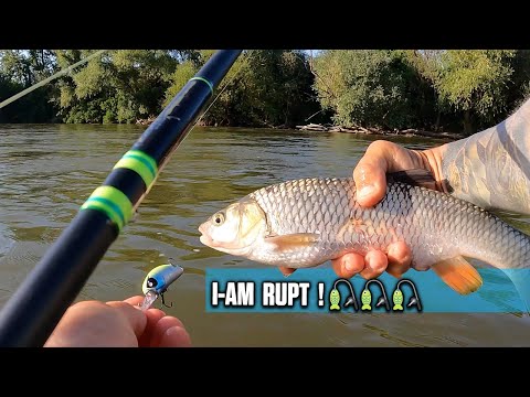🎣 Am RUPT la CLEAN pe RAU! 🎣  Pescuit pe Muresul suburban ...