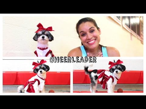 OMI - Cheerleader Official Music Video Cover - Gina Naomi Baez & Tinkerbelle the dog