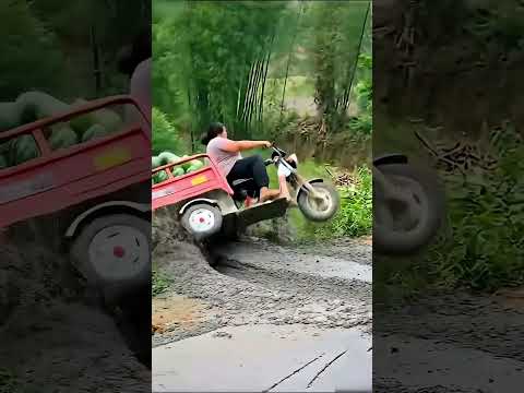 Building Wooden Log Cabin in Forest | Survival House Step by Step "9#shorts #facts