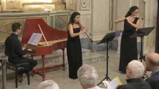 preview picture of video 'Trio Sonata in G major, BWV 1039 - Johann Sebastian Bach'