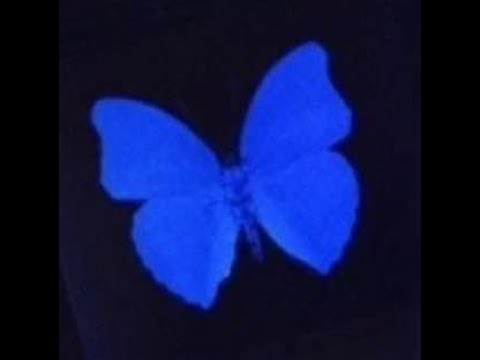 *FREE* hyperpop x glitchcore x oaf1 type beat - "emotionless" (prod.@whymillyy)