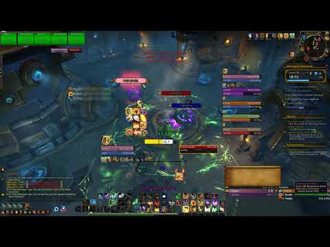 Workshop +10 Prot Paladin POV. (Interrupt Detonate pls) (8.3)