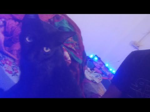 aaj ka suhana msusam vlog #4 #dailylifestyle