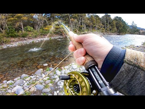 Fluefiskeri efter ørreder i en klarvandet elv