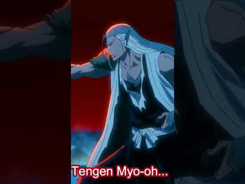 Every Bankai Release hits different in 4K ⚔️ #BleachTYBW