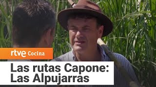 Thumbnail del capítulo