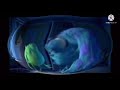 Monster Inc Trailer Bulge Squared