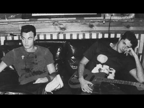 SDP - Jung, dumm & pleite