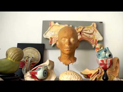 Jury Everhartz vom SireneOperntheater über die Europäische Theaternacht