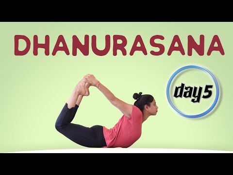 Day 5 of 5 days Dhanurasana For Beginners